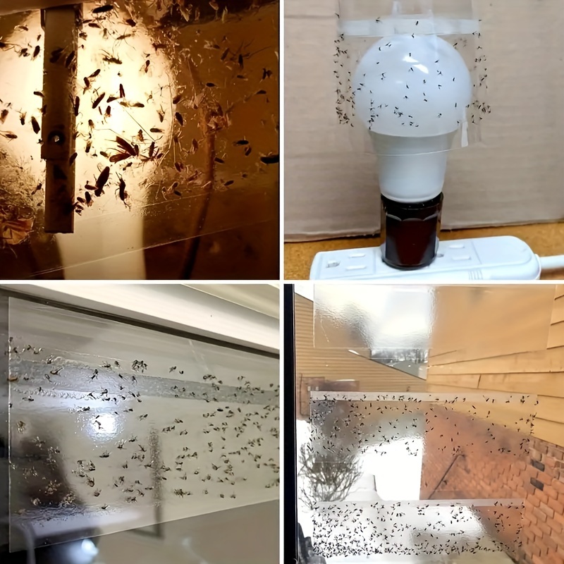 Sticky Insect Window Flower Transparent Sticky Insect Board Fly Trap Fly  Board Fly Sticker Fly Trap Fruit Fly Sticker Adhesive Repair Fly Paper -  Temu