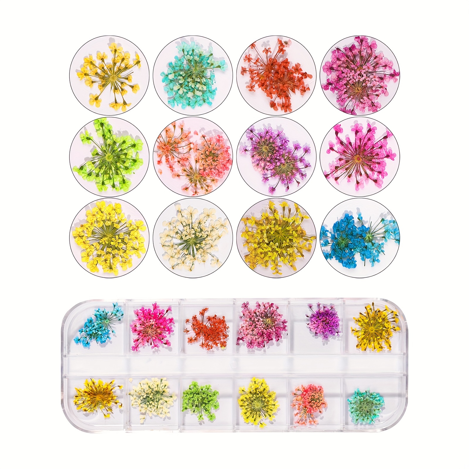 1 Box 3D Dried Flower Nail Decoration Natural Floral Sticker Mixed Dry  Flower DIY Nail Art Decals Jewelry UV Gel Polish Manicure 