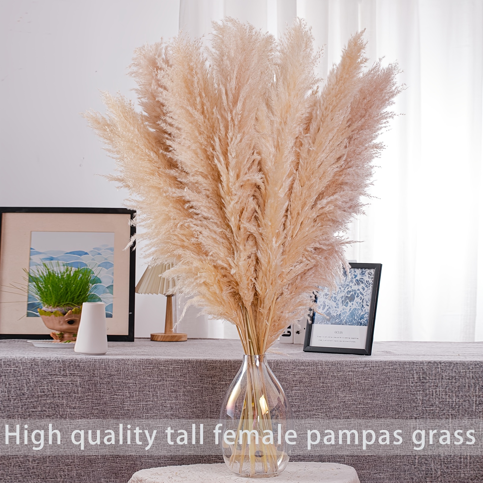 Halloween Faux Pampas Grass 120cm 60cm | 5 stems | Bouquet Party Decoration