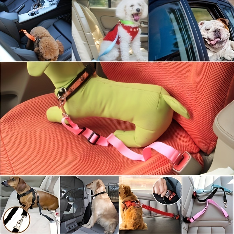  ARCOCO Barrera de red para perro con cinturón de seguridad para  mascotas, barrera de malla resistente fácil de instalar, divisor de coche  para conducción segura con mascotas, cinturón de ajuste fijo