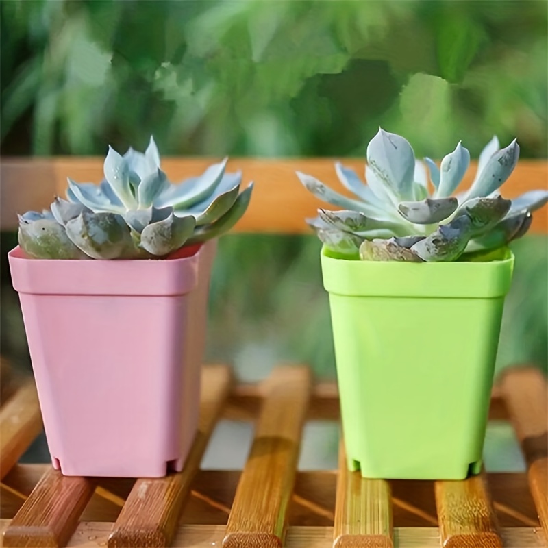 Pot de fleur succulent en plastique coloré, petit pot de semis