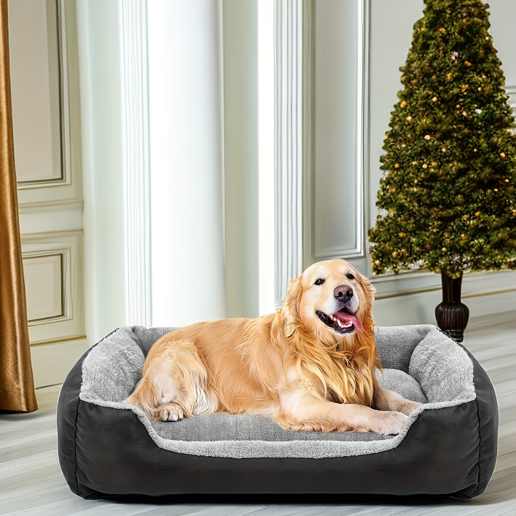 The Tour Bed — MAYOR B - PET PRODUCTS & ARTWORK