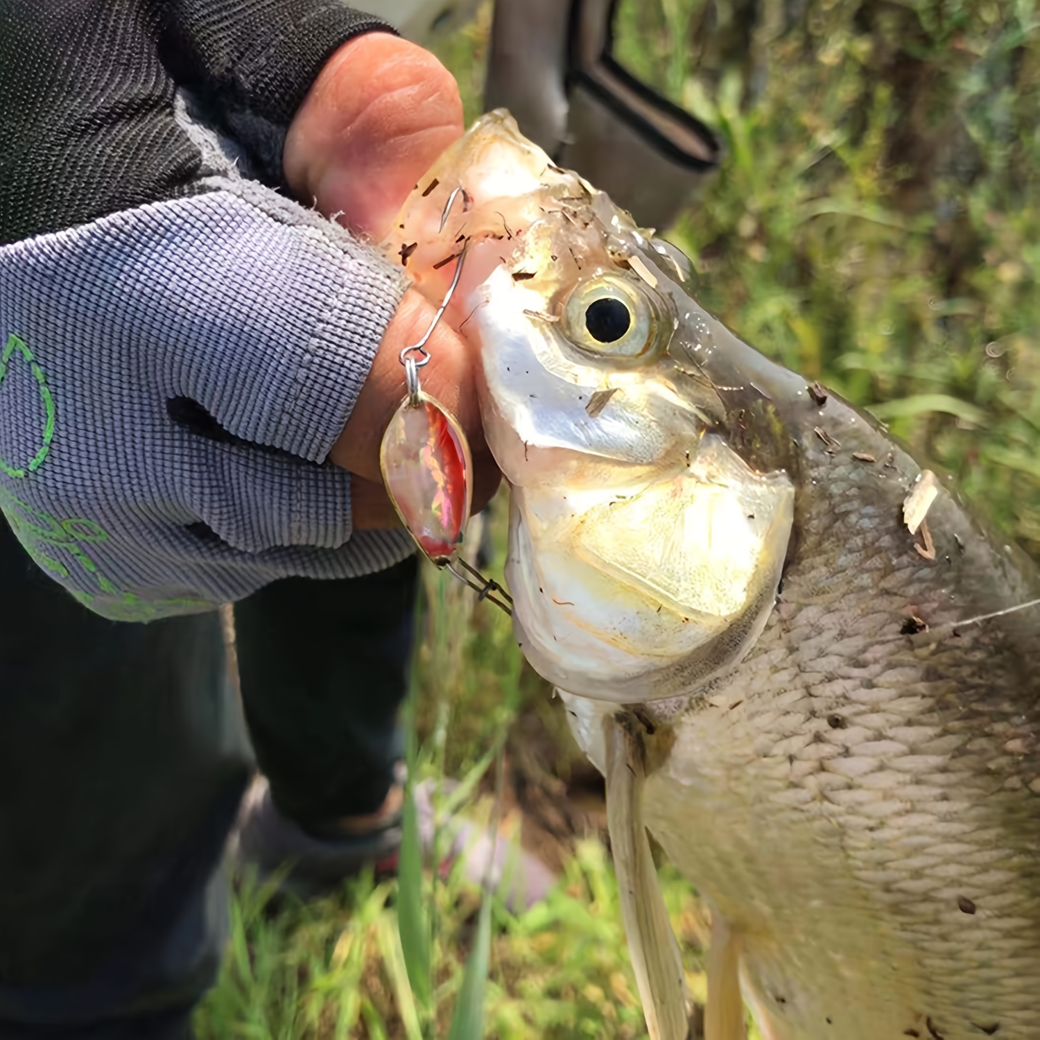 Kaufe Angeln Köder Bass Jigs Angeln Jigs Schwimm-Jigs Für Bass