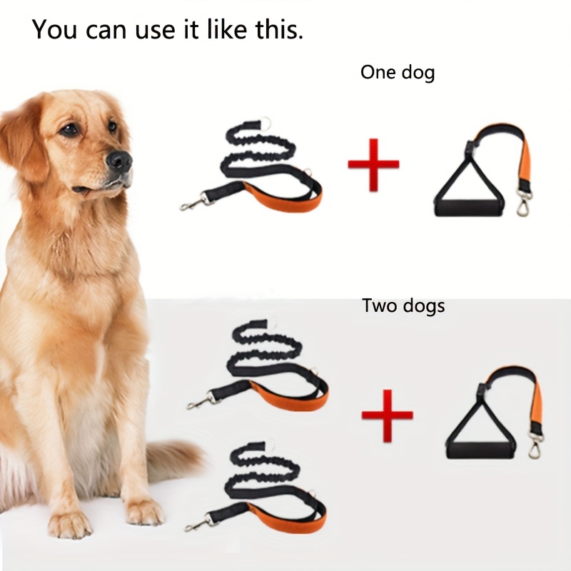 Shock leash for outlet dogs