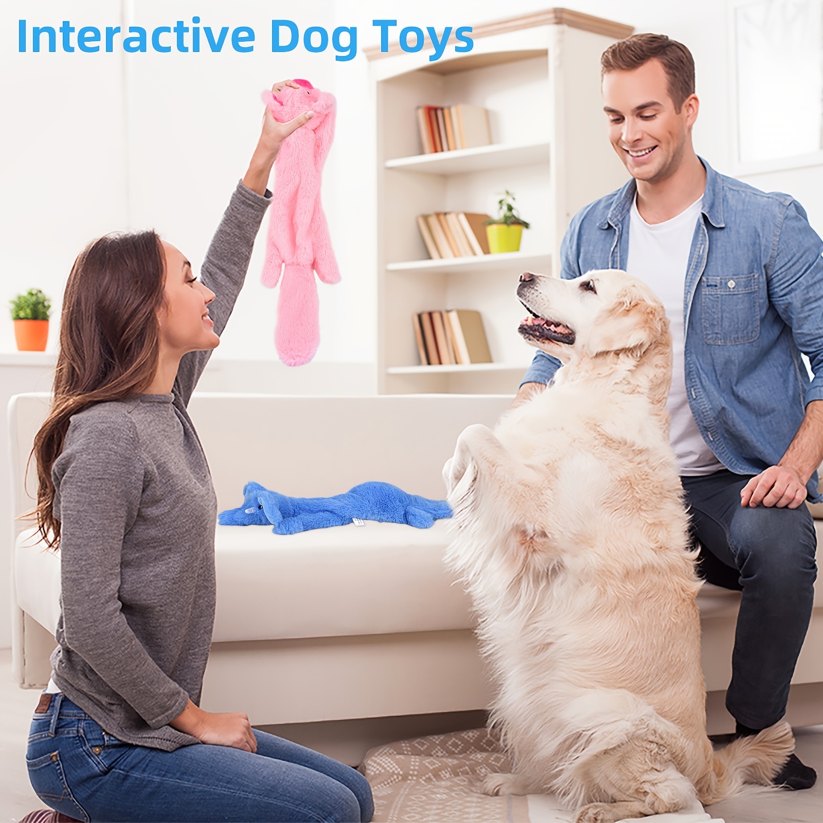 Interactive dog toys for small dogs