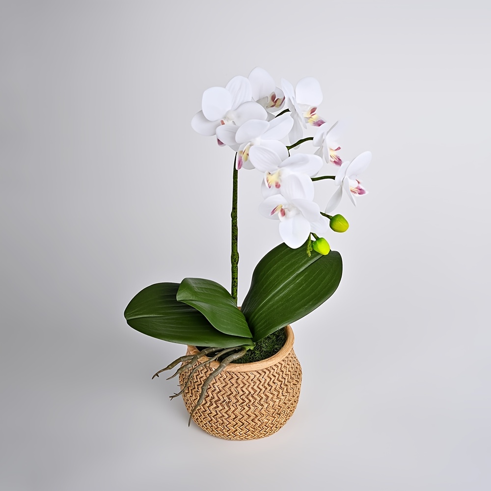 1pc, Orchidea Finta, Pianta Artificiale Fiore In Vaso Realistico