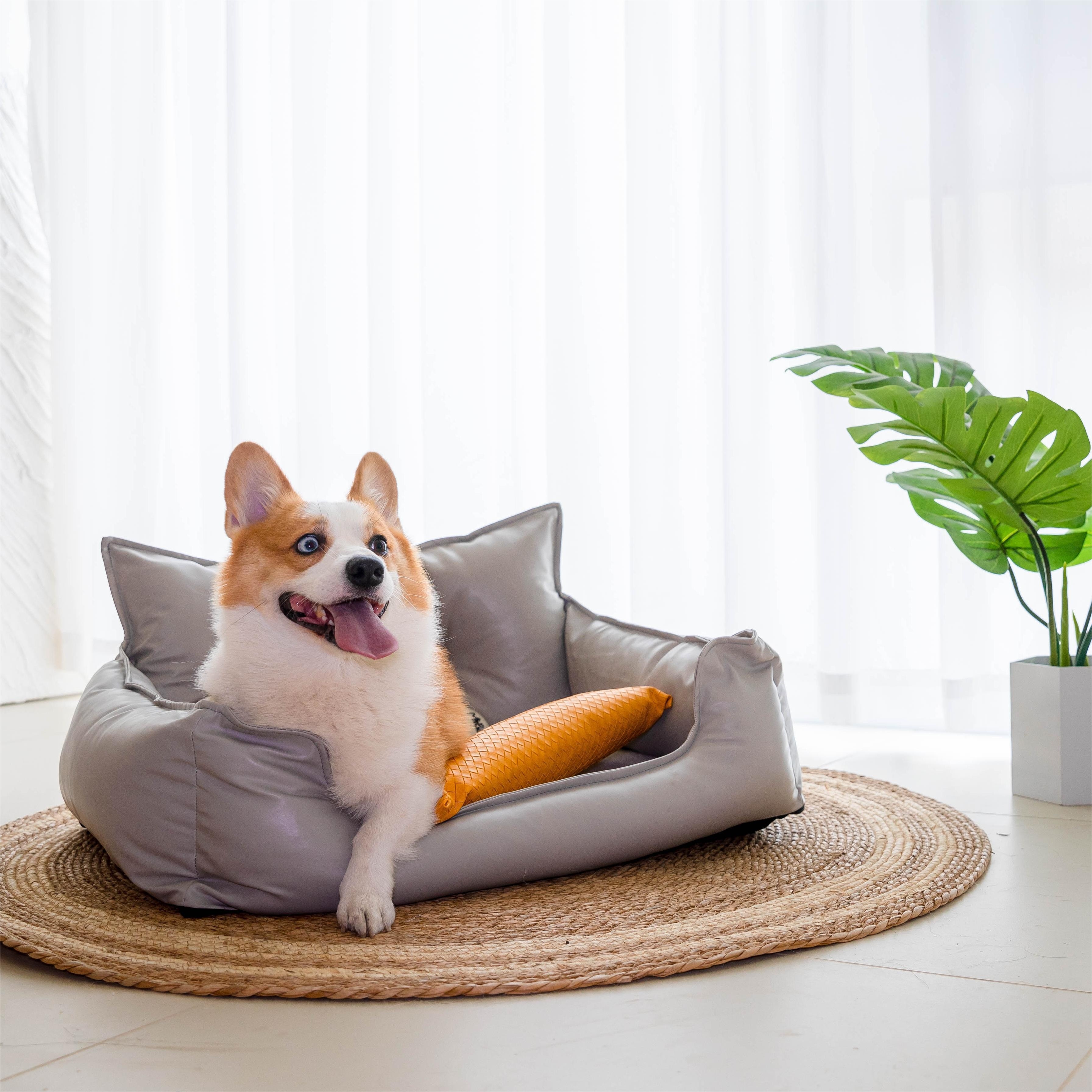 Natural latex sale dog bed