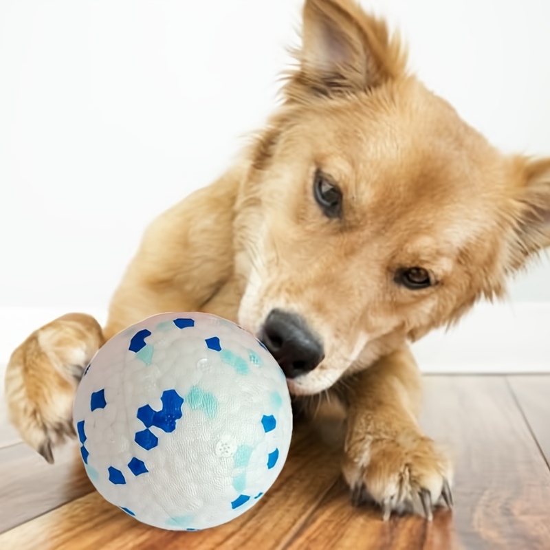 dog balls for tough chewers
