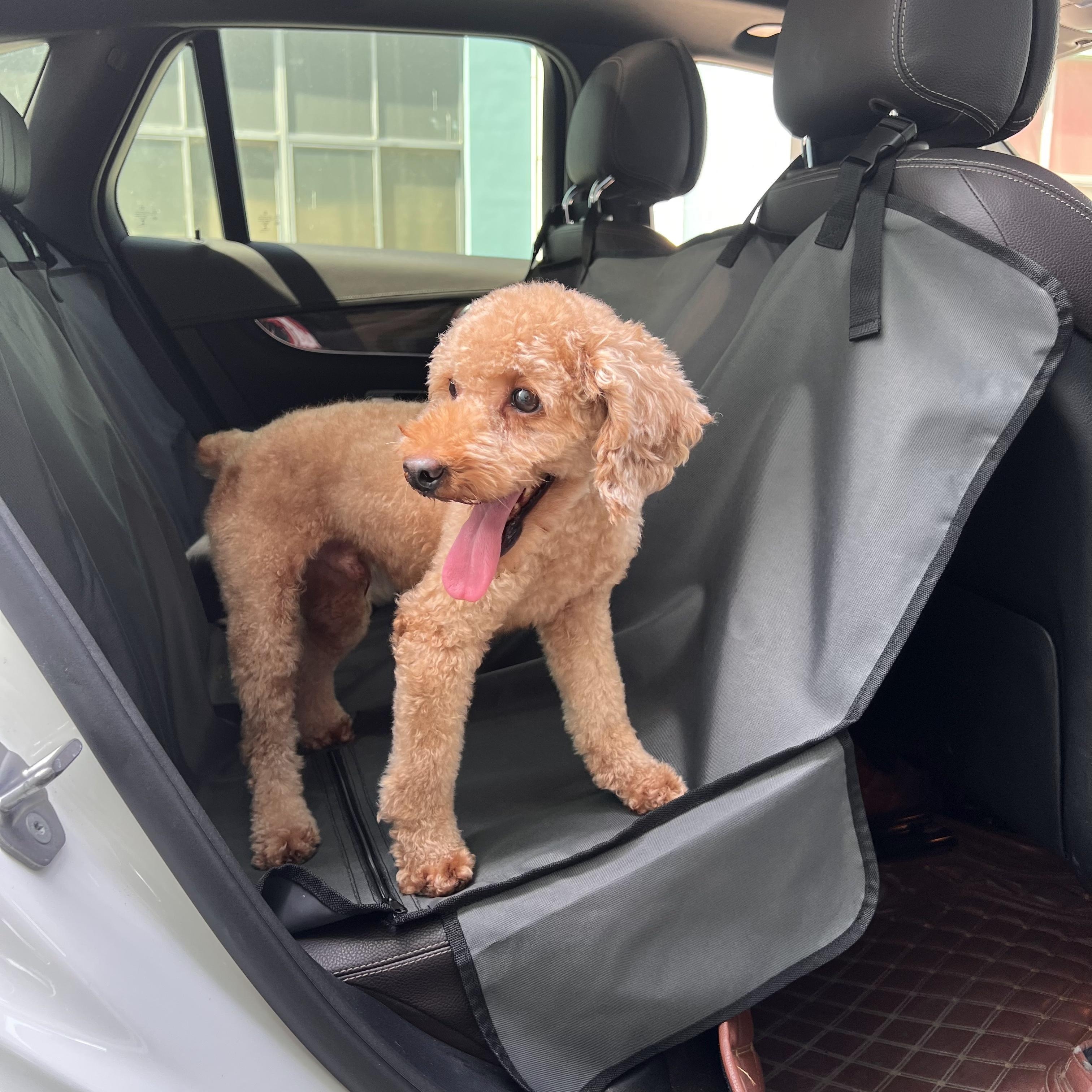 Asiento de automóvil para perro para asiento trasero, asiento elevador para  mascotas, cama de viaje para cachorros con cinturón de seguridad