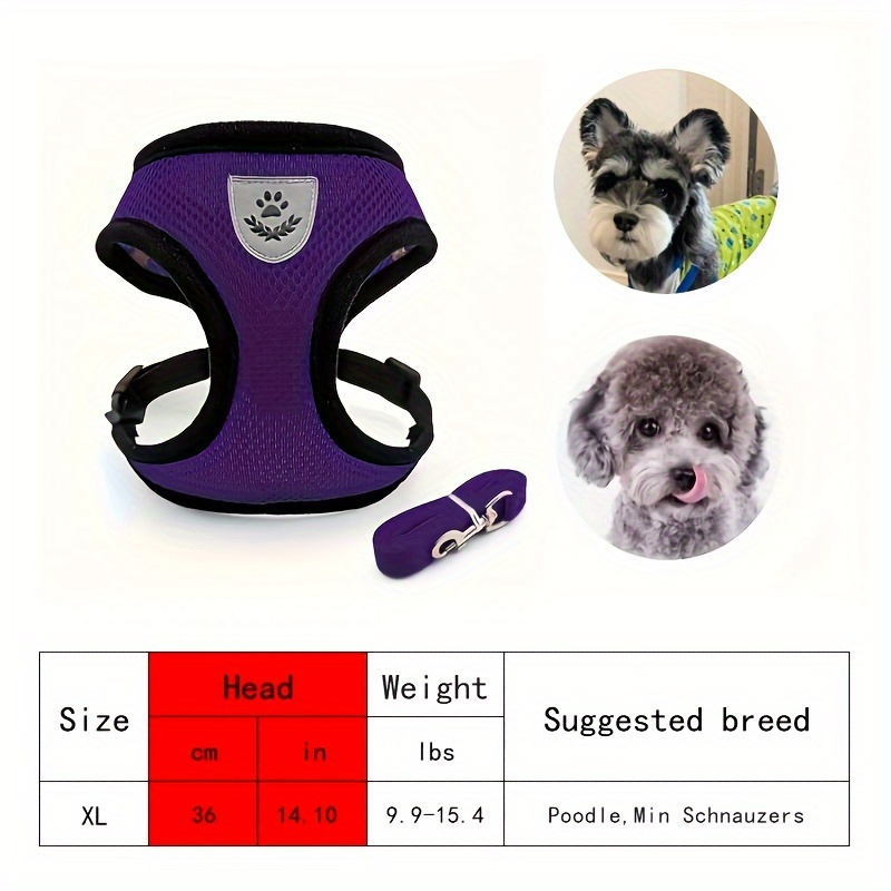 Purple Puppy dog toy with walking leash!