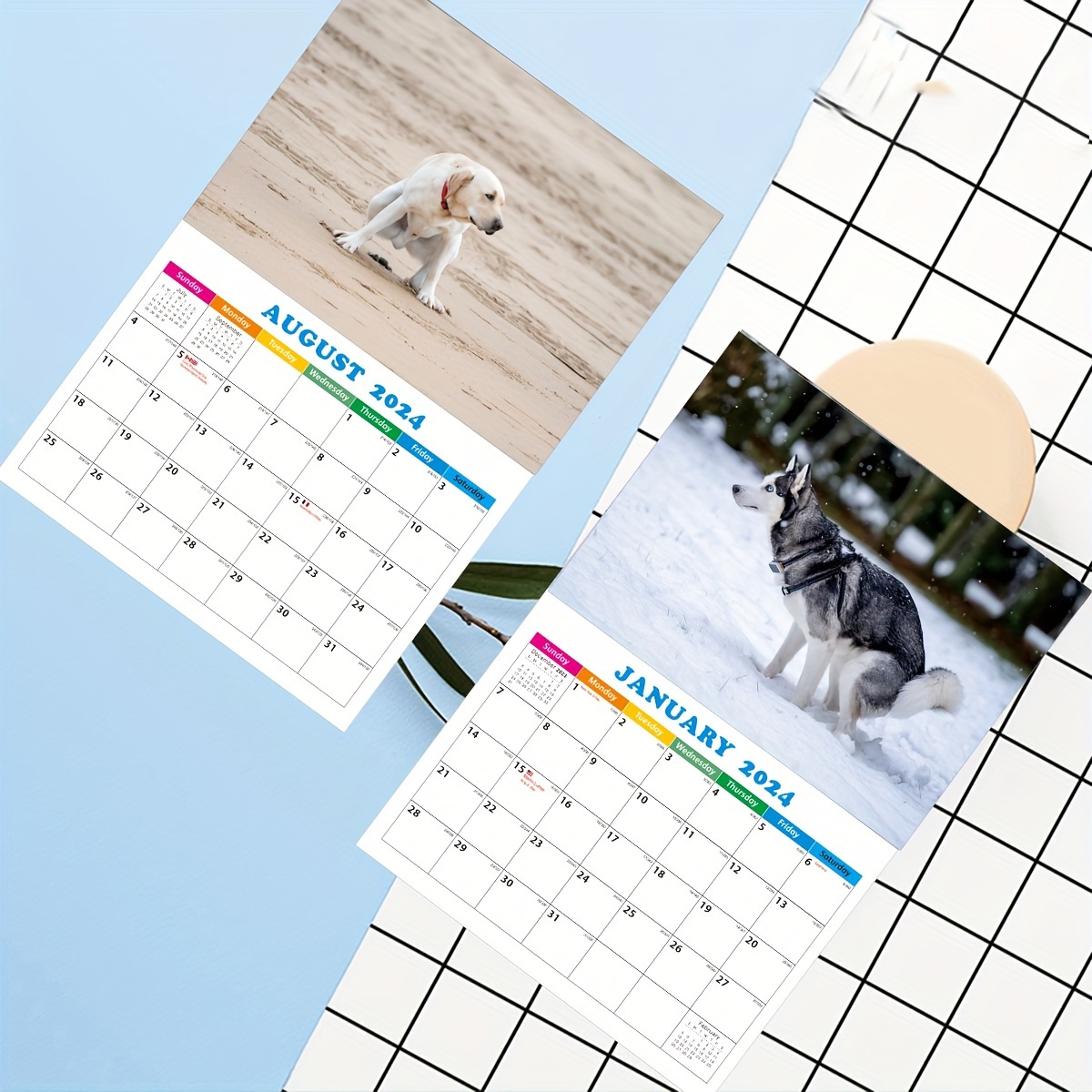 Dogs Poop In Beautiful 2024 Calendar Hangable Monthly - Temu