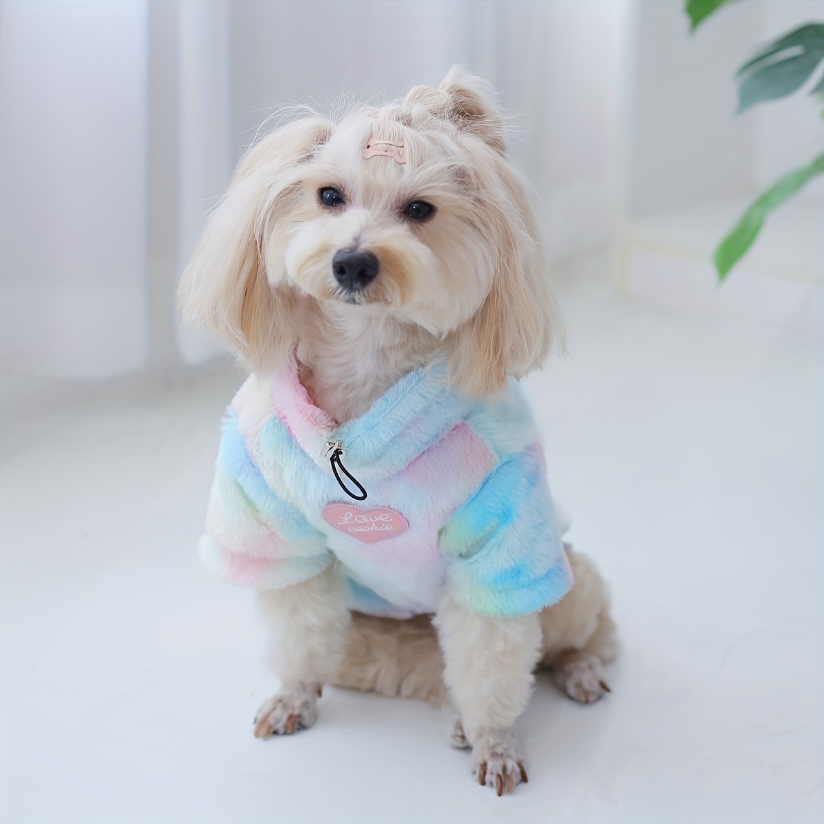 Tie dye 2024 dog sweater