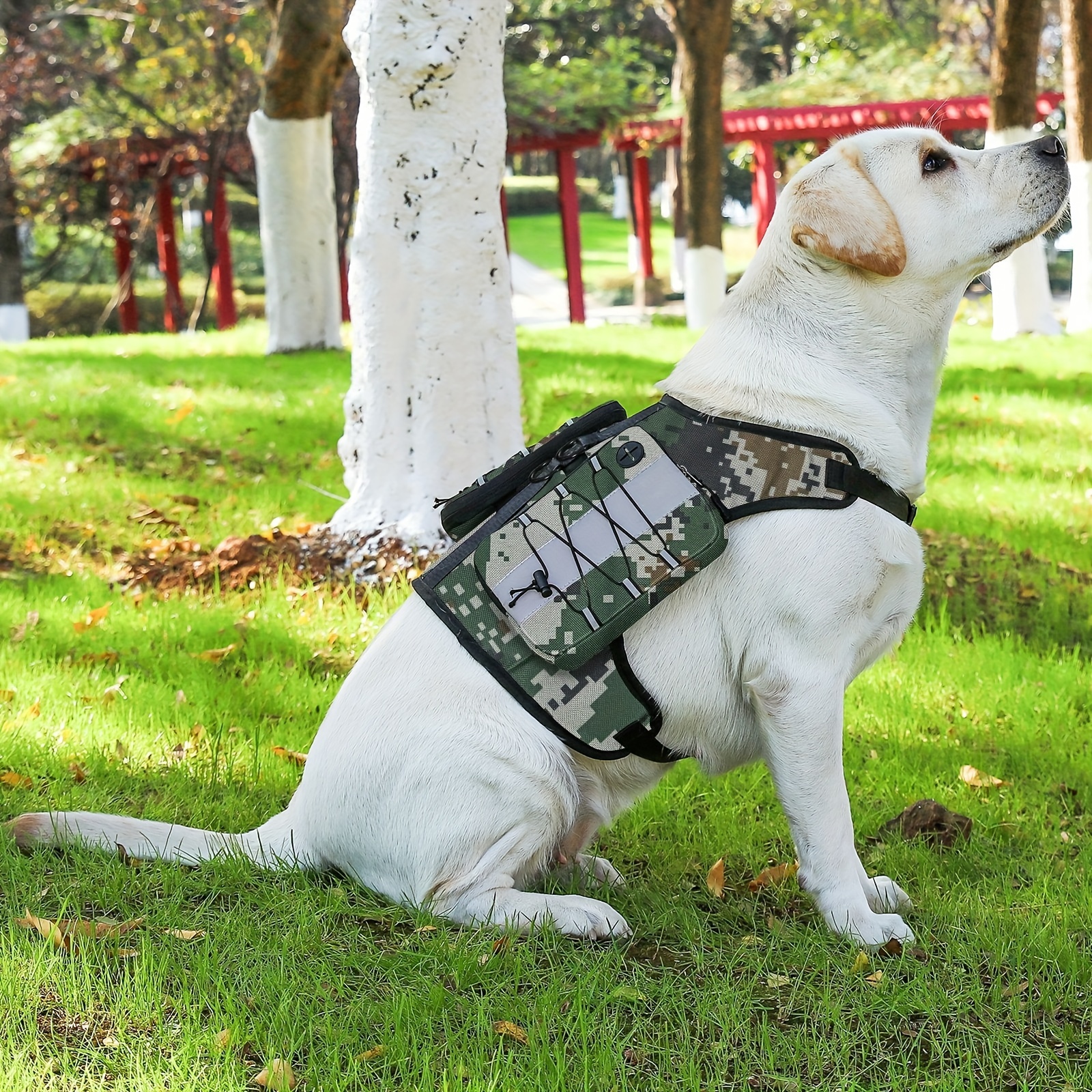 Dog vest hot sale backpack