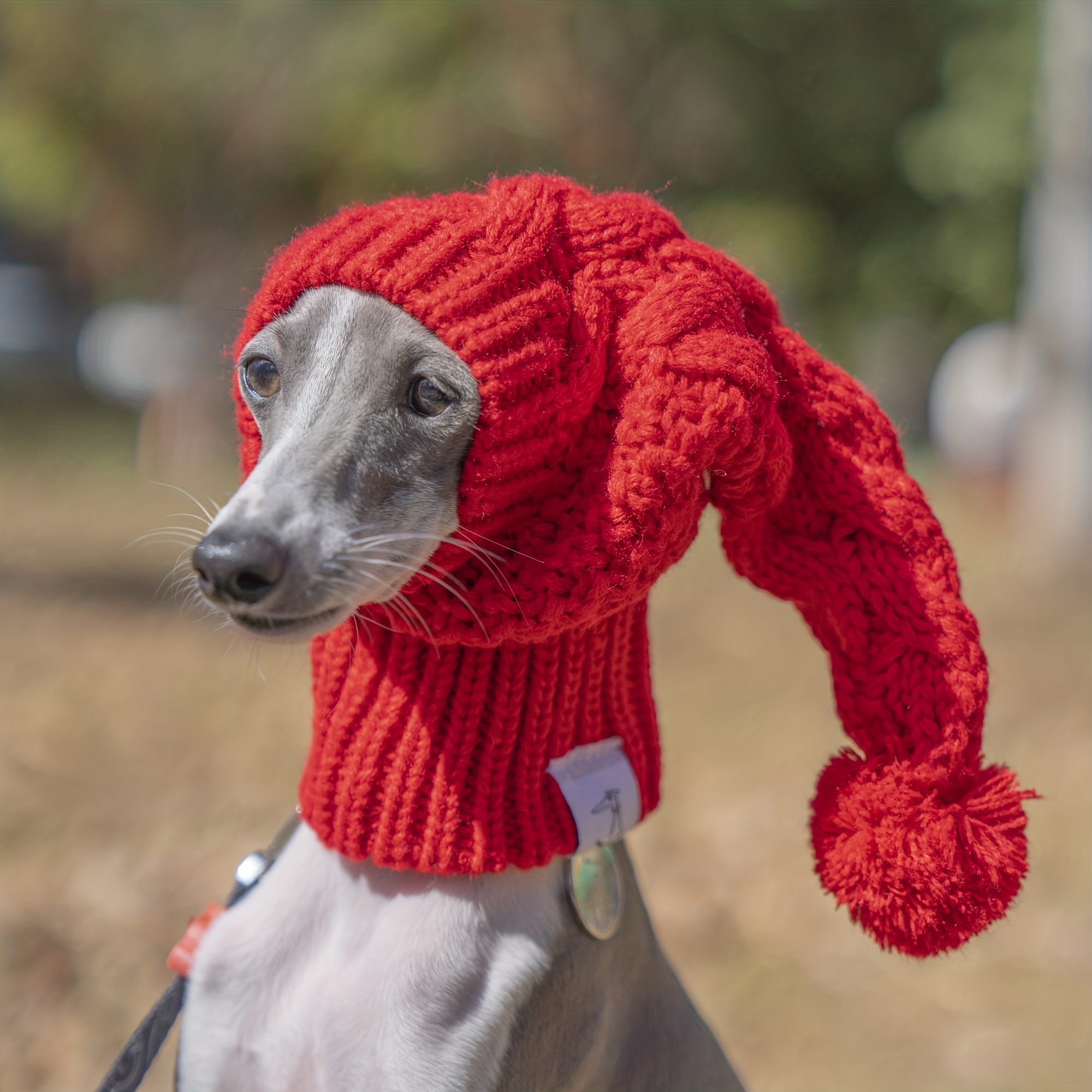 1pc Red Pet Hat Patterned Knitted Woolen Dog Hat Cute And Warm Decoration  Suitable For Small Medium And Large Pets Dogs - Pet Supplies - Temu