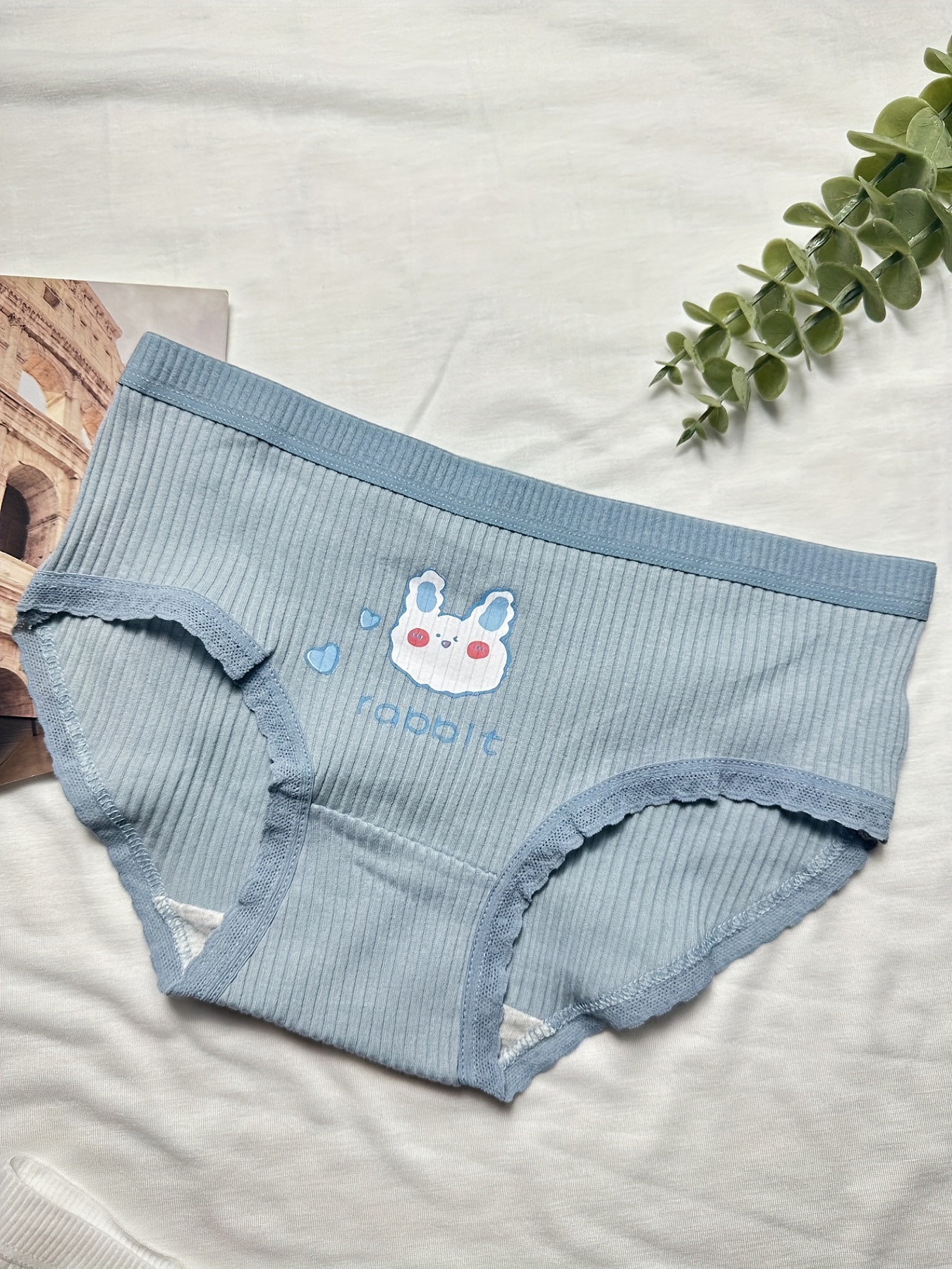 Briefs Womens Underwear Wicking Mid Waist Soft Sweatproof Underwear Cute  Easter Rabbit Underwear for Women, Cute Easter Rabbit, XS : :  Fashion