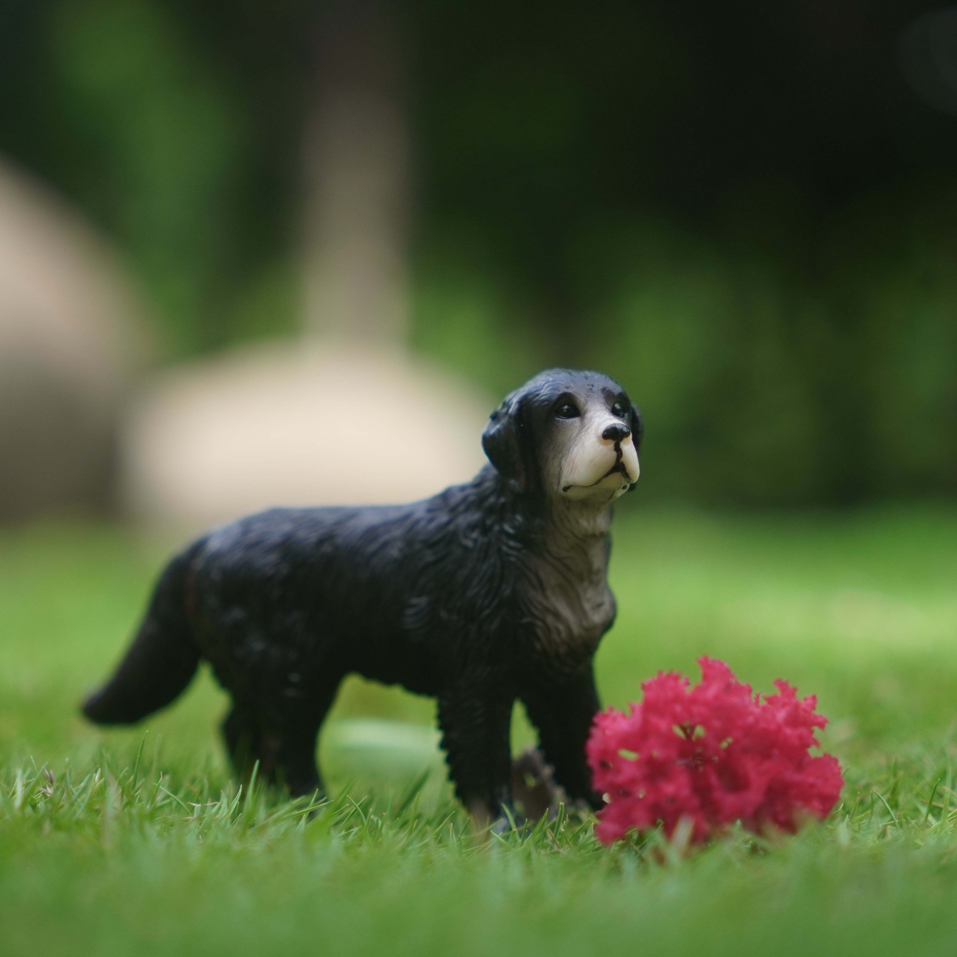 Statues de chien en mousse verte, ornements de jardin, animaux, Figurines  de chiot, décoration d'extérieur