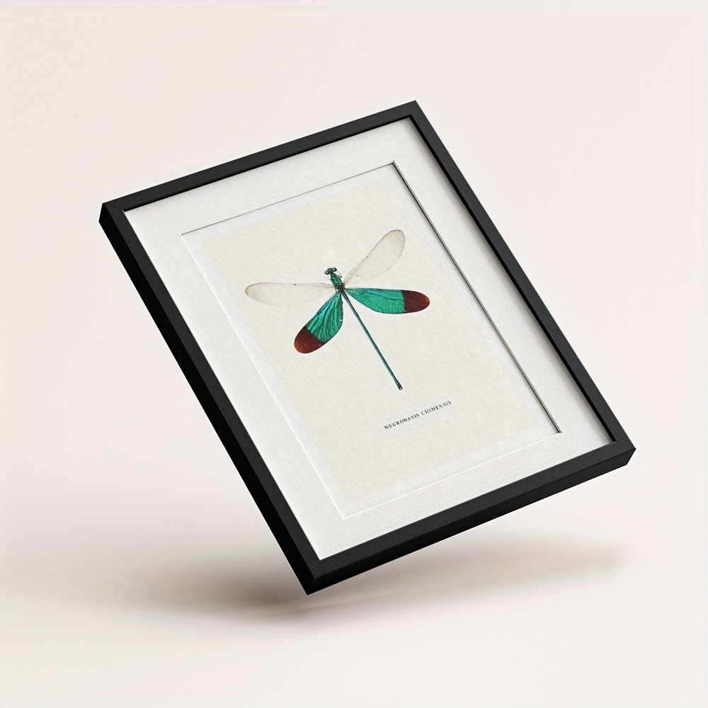 6pcs Dragonfly Specimen Art Posters for Home Decor - A5 A4 A3 A2 Sizes