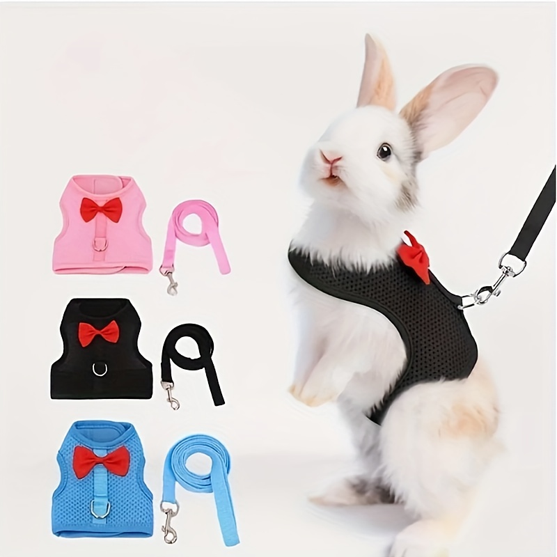 Windfall Bunny Rabbit Harness with Stretchy Leash Cute Adjustable Buckle  Breathable Mesh Vest for Kitten Small Pets Walking 