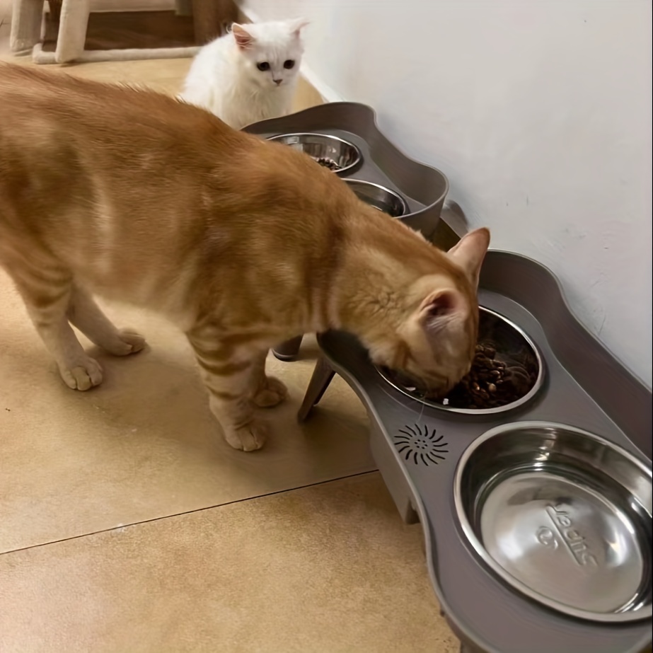 2017 Kia Sedona Double High Elevated Dog Bowls & Cat Dishes - Custom Pet  Feeder