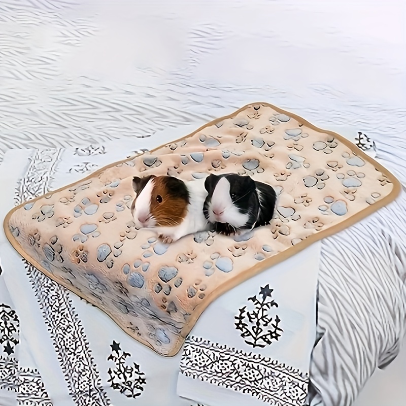 Pig in blanket online bedding