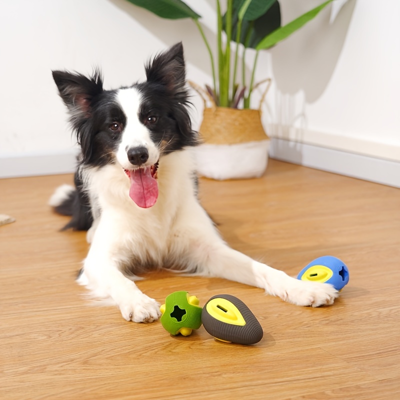 interactive toys for border collies