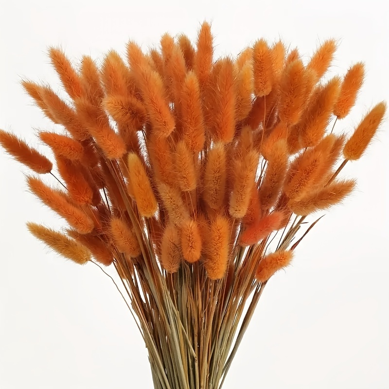  XHXSTORE 120pcs Bunny Tails Dried Flowers Red Natural Lagurus  Ovatus Dried Flowers Mini Pampas Grass Bulk for Home Valentine's Day  Wedding Table Party DIY Craft Farmhouse Decor (17) : Health 