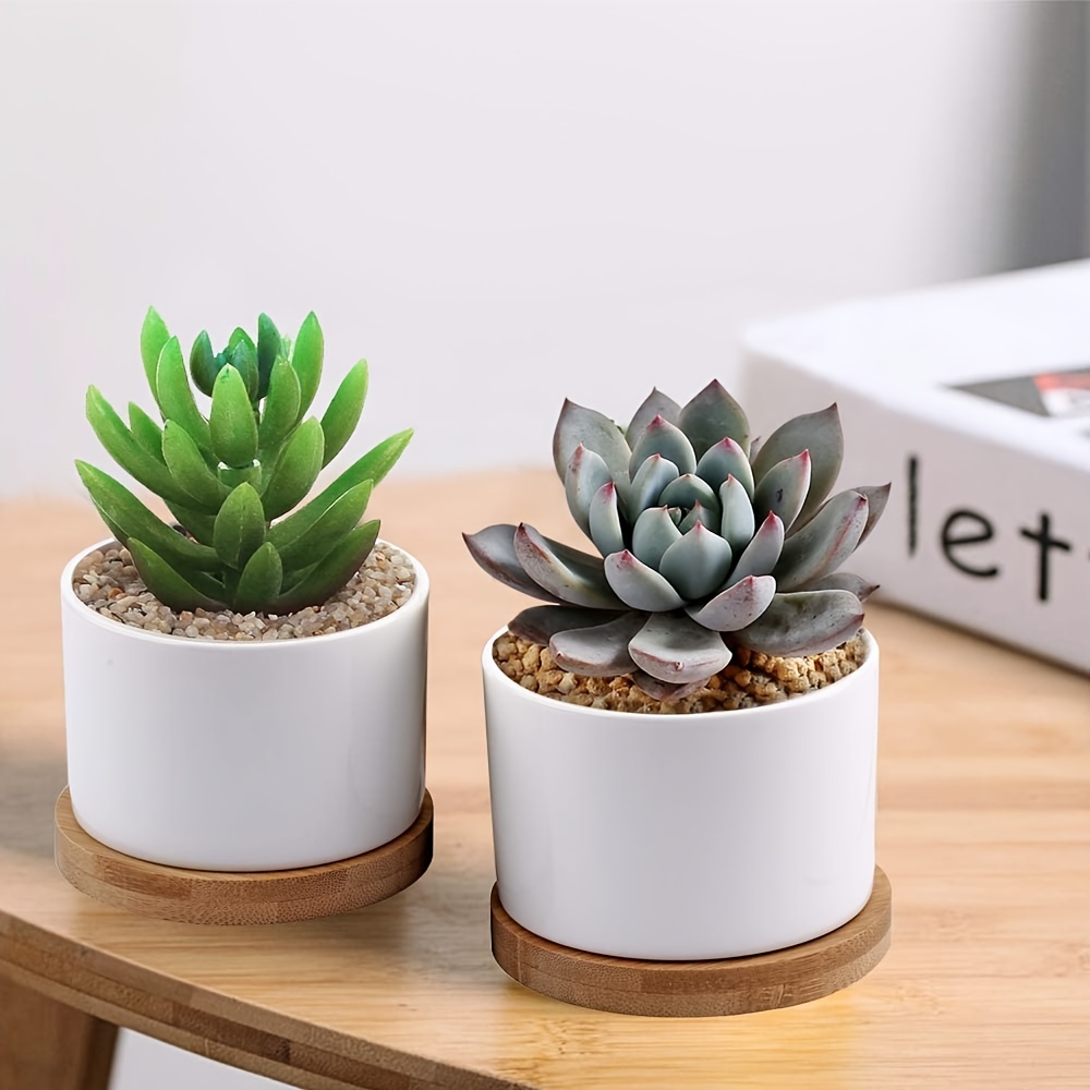 Freestylehome Petit pot de fleurs rond en céramique blanche pour plantes  succulentes avec plateau en bambou Cactus pour plantes succulentes avec  plateau en bambou pour décoration de chambre 