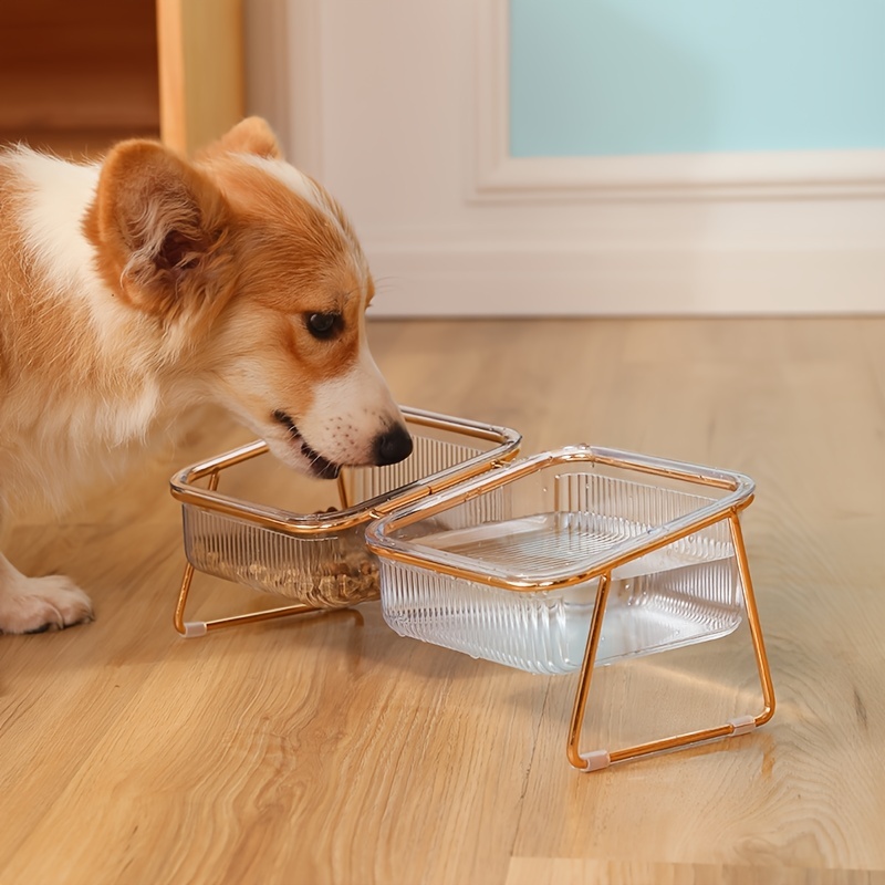 Transparent Double Cat Bowl With Vertical Design For Easy - Temu