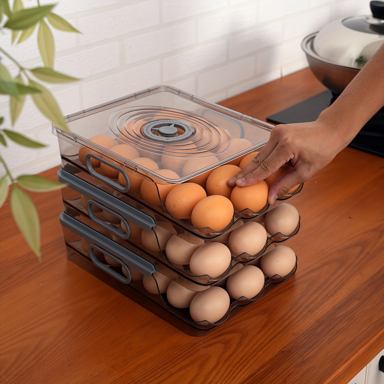 1pc Soporte Huevos Refrigerador Organizador Huevos Tapa 2/3 - Temu