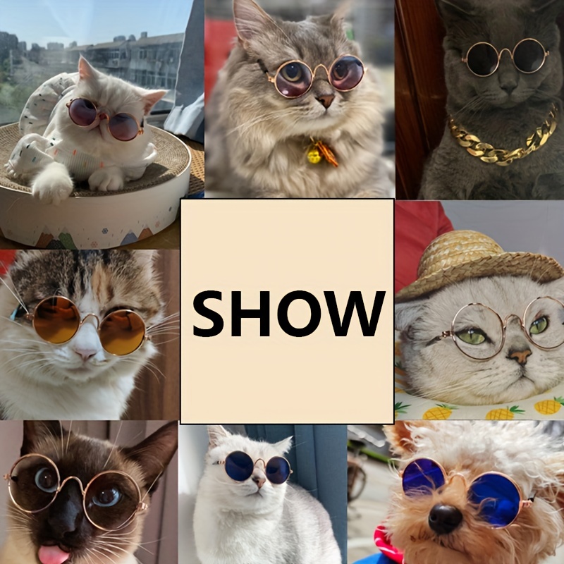 スタイリッシュなペット用メガネ、猫用サングラスで猫や子犬を涼しく保護します。 - Pet Supplies - Temu Japan