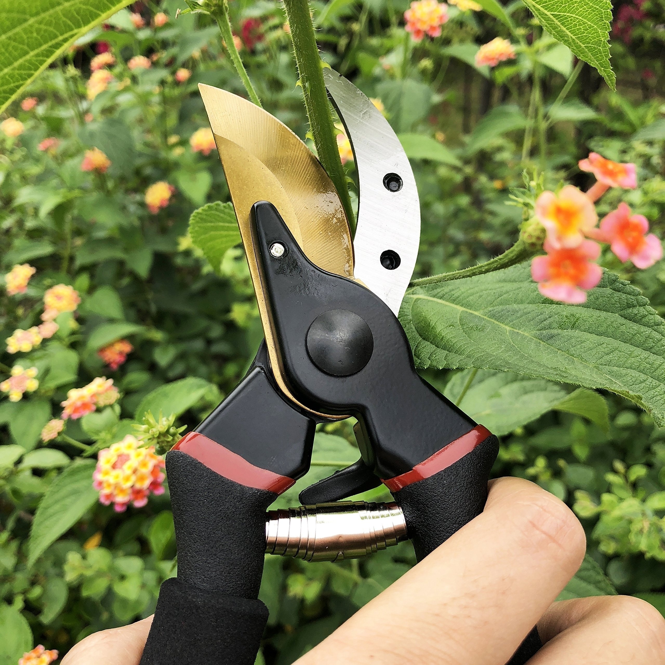 Pruning Shears Strong Carbon 8 Garden Hand Pruner Secateurs Plants Tool