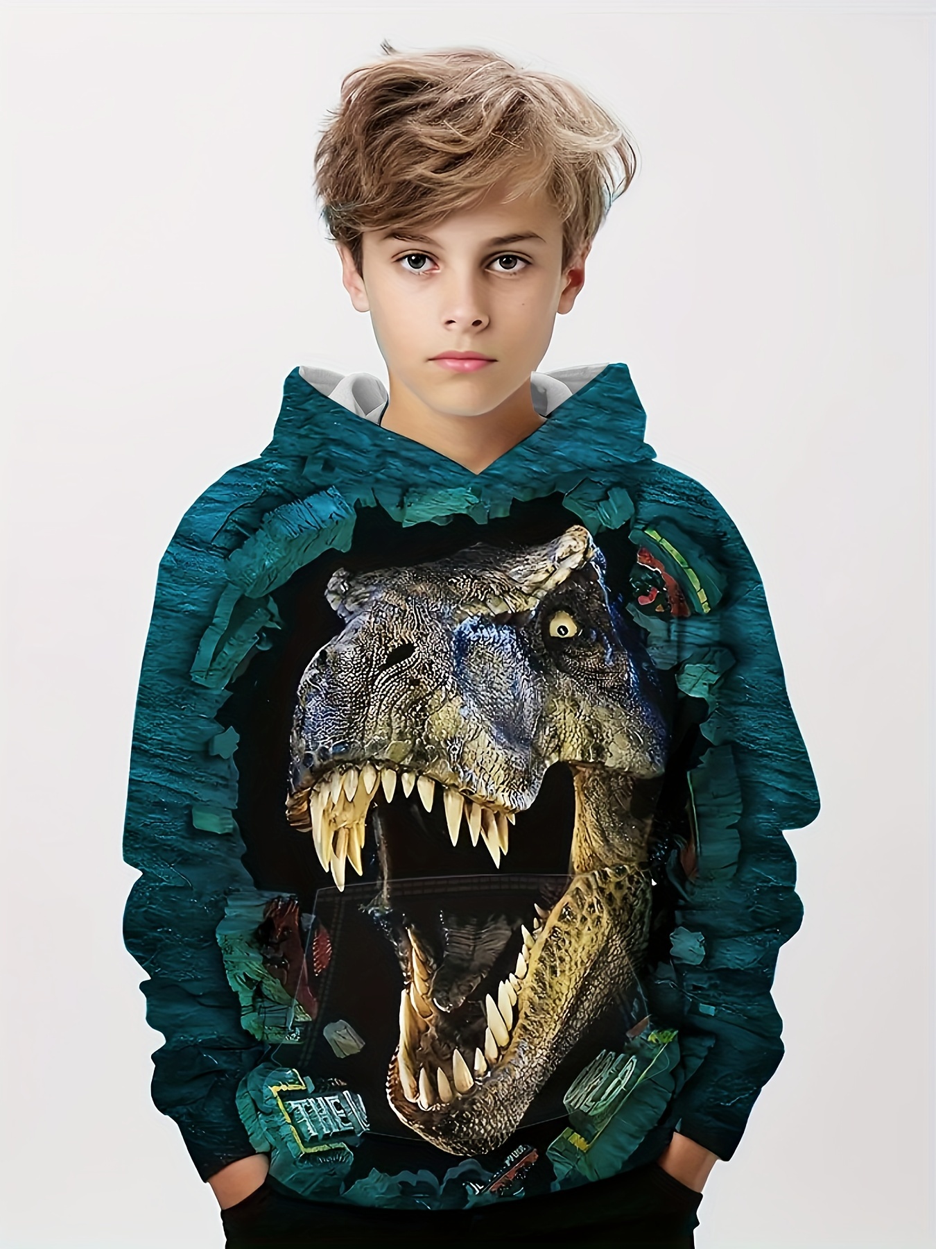 Boys discount dino hoodie