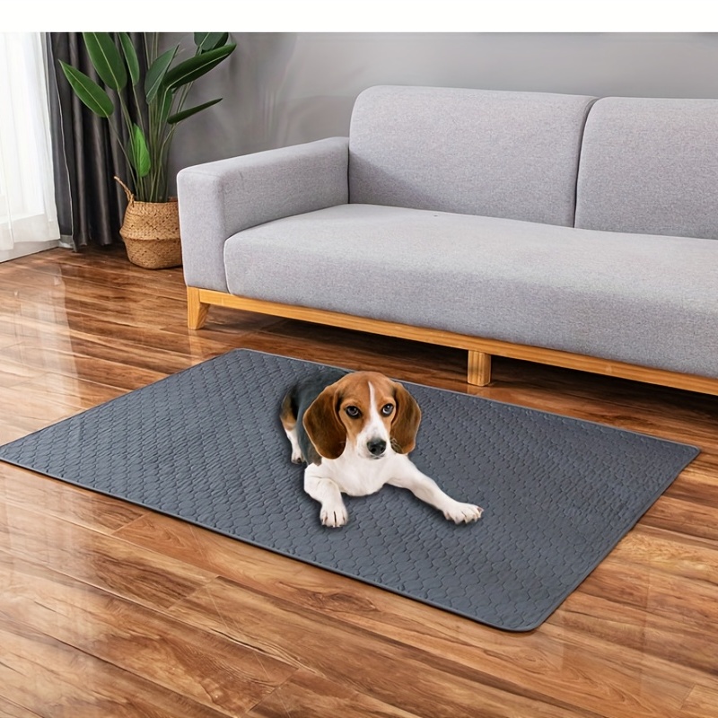 Tapis Absorbant pour chien lit pour chat Pipi Reutilisable Lavable petite  grand