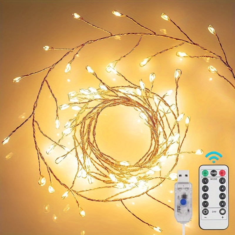 Outdoor Led Leather Wire String Lights Usb Plug Remote - Temu