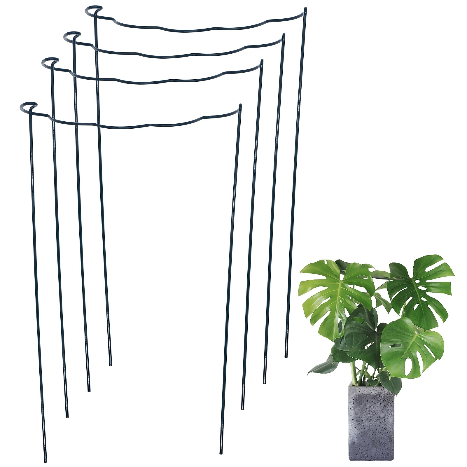 

4 Packs, Plant Support Stakes, Semi-wavy Metal Garden Plant Support, Outdoor Plant Support Ring Cage, Plant Support Stakes For Tomatoes, Roses, Vines, Indoor Plants, 7.8 "x13.7", 9.8 "x15.7