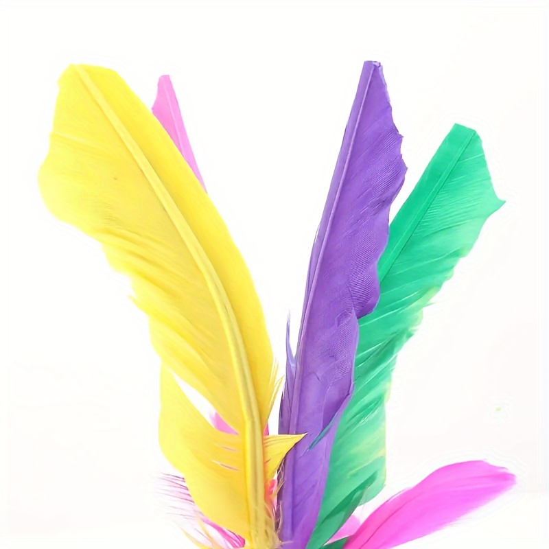 Chinese Jian Zi Colorful Feather Kick Shuttlecock for Exercise