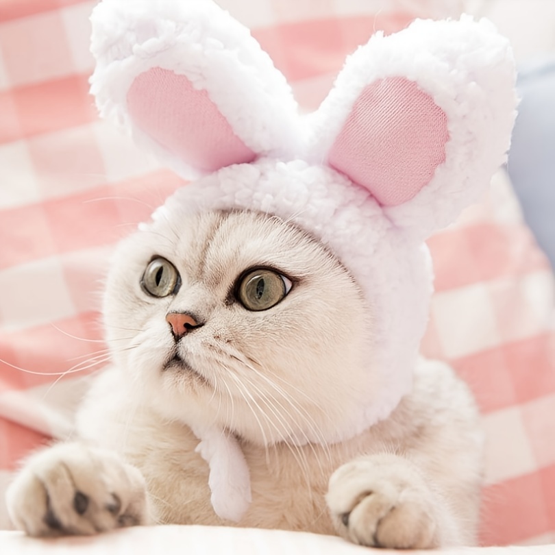 Pink Bunny Cat Hat Bunny Hat Hat for Cats and Small Dogs 