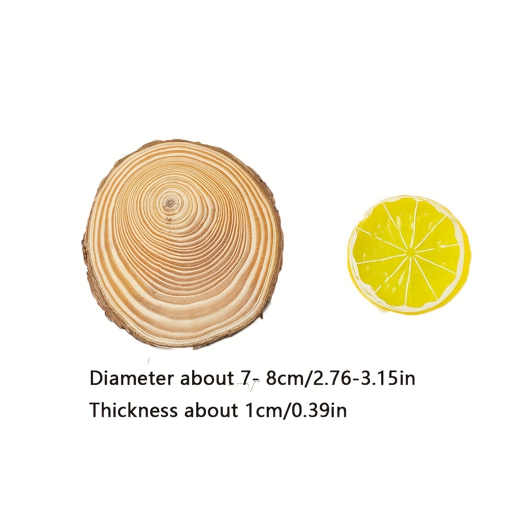 Birch Wood Tree Slices, Natural Wood Rounds for Crafts Ornaments