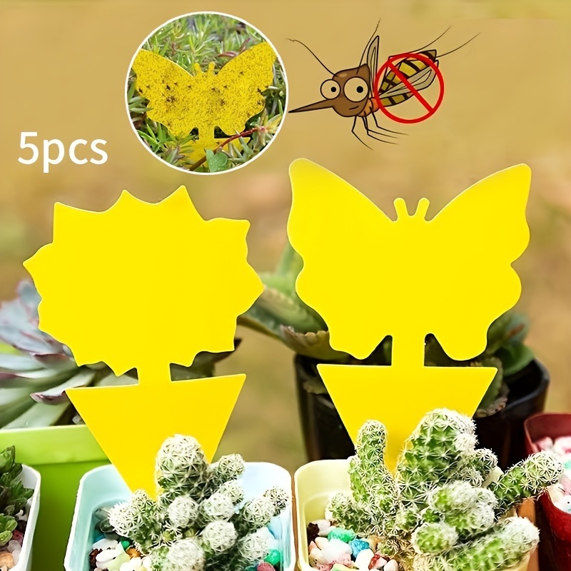 Fruit Fly Traps Yellow Sticky Traps for Gnats Fruit Fly Triangular Hanging  Fly Traps with Hook for House Indoor Outdoor Fly Sticky Trap Pest Control