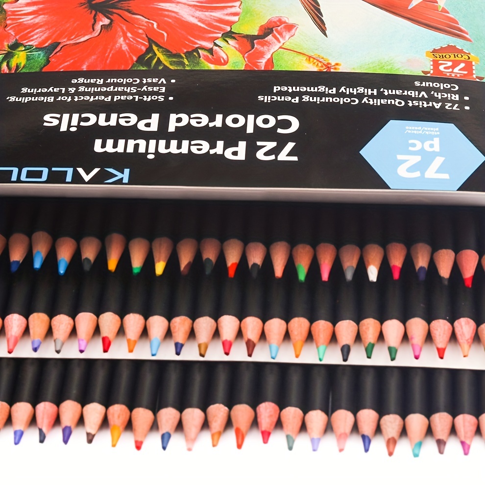 Tradineur - Caja de 12 lápices de colores - Forma hexagonal - Material  escolar - Colores vivos - Ideal para colorear y dibujar.