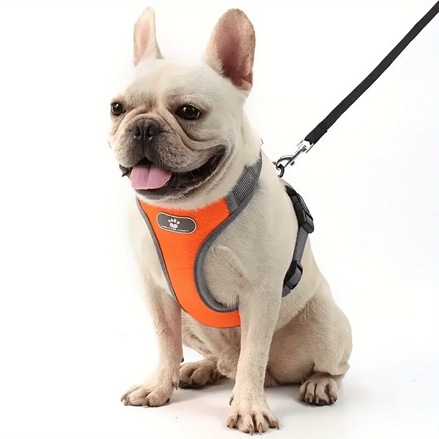 Chest belt shop for dogs