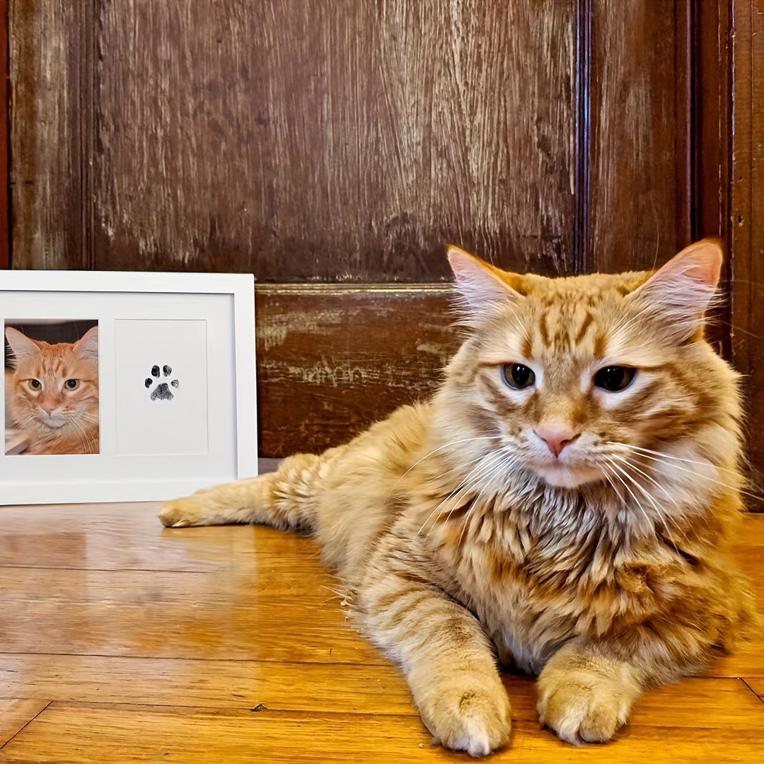 Natale Impronte Zampe Cane E Gatto Crea Ricordi Duraturi - Temu Italy