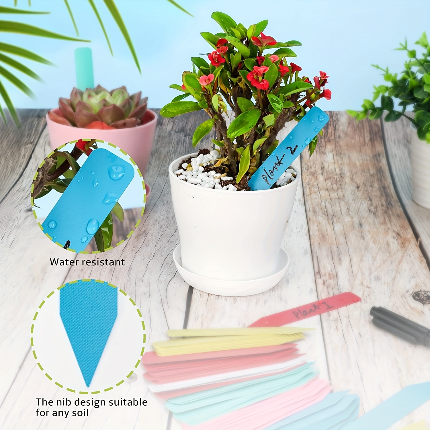 600 Etiquetas Para Plantas De Plástico Con 2 Rotuladores - 6 Colores, Incluye Lazos De 21 Cm
