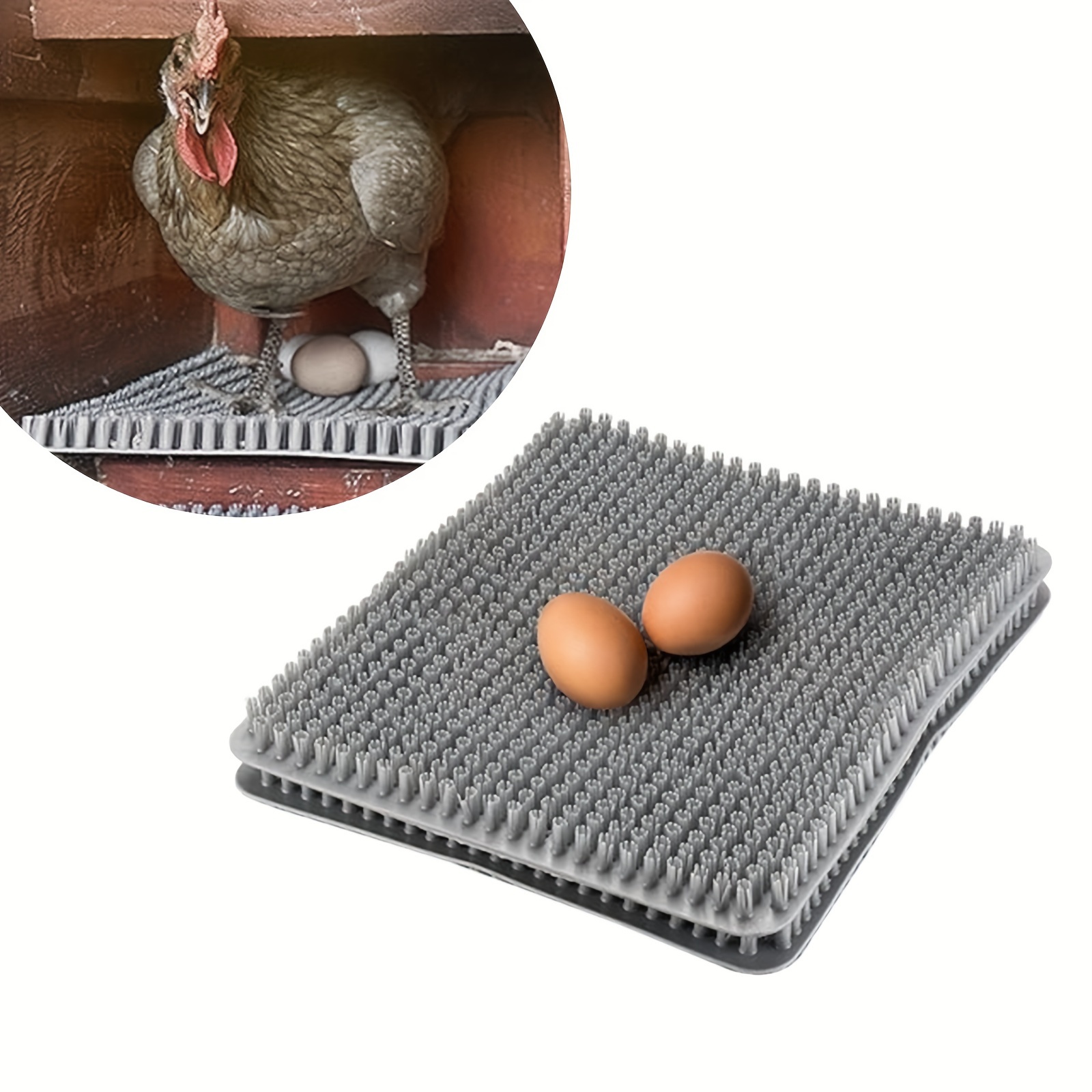 Gallinero de exterior con caja nido para gallinas color Madera