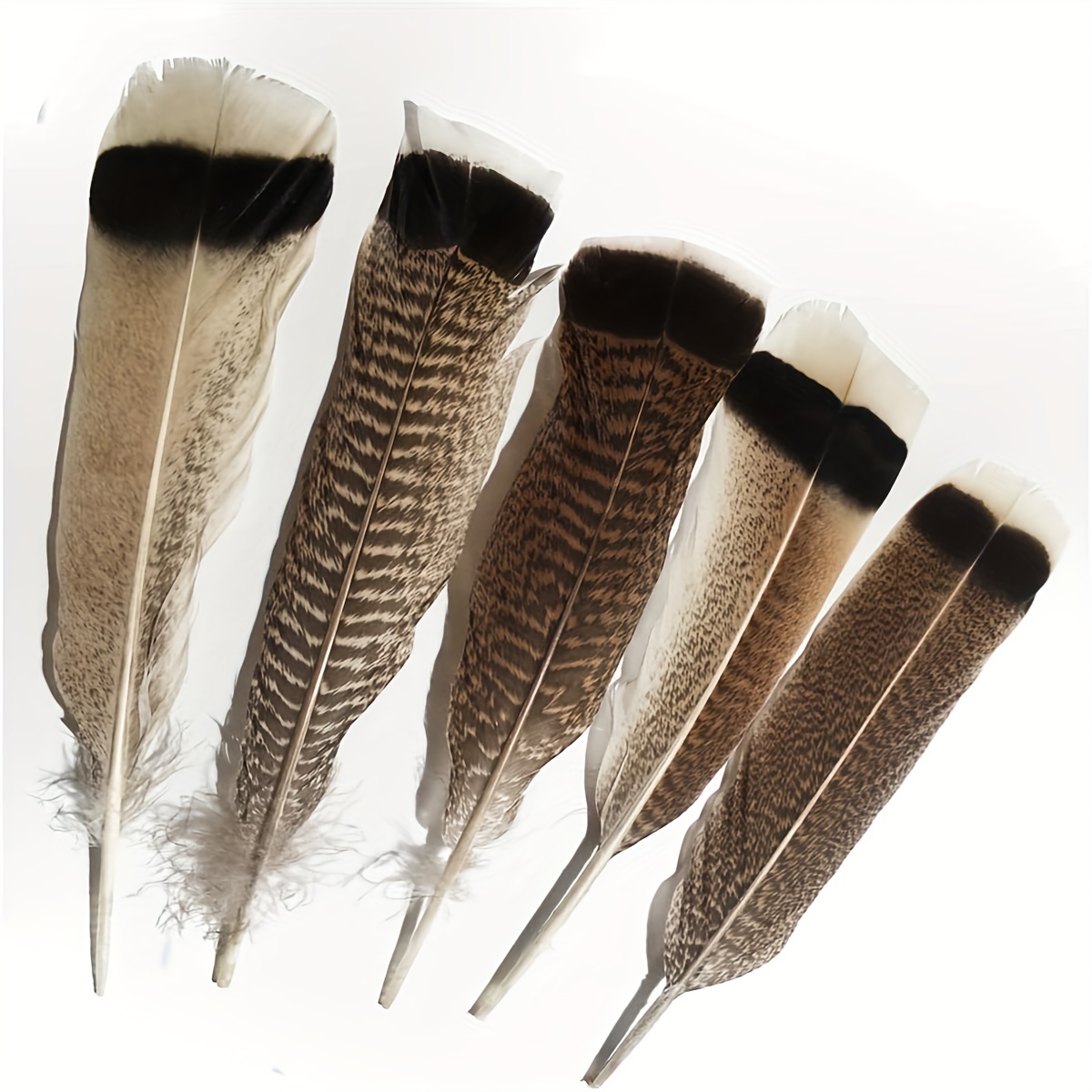 20pcs Wild Turkey Feathers Natural 8-10 inch Spotted Feathers for Craft Project Collection Wedding Decoration Headdress Clothing Accessories