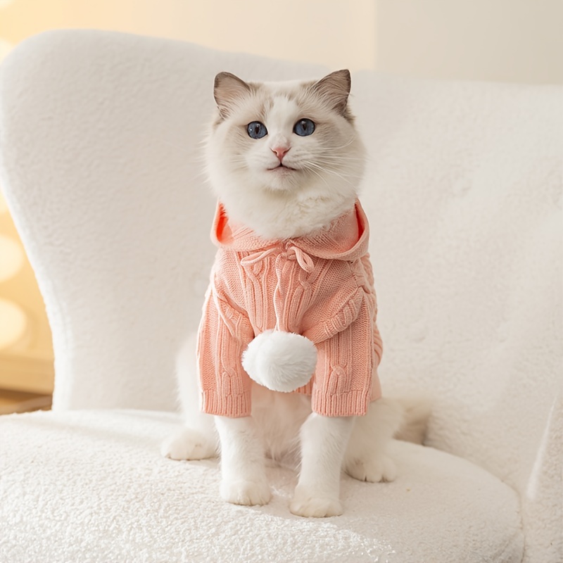 Pull en Tricot pour Chats, Hillylolly Pull pour Animaux, Vêtements de Chat  sans Poil, Adorable vêtement pour Chat, Gilet pour Animaux de Compagnie