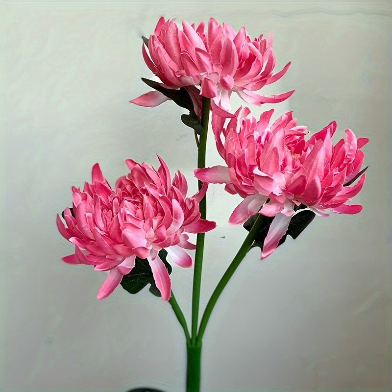 Chrysanthemum lights on sale