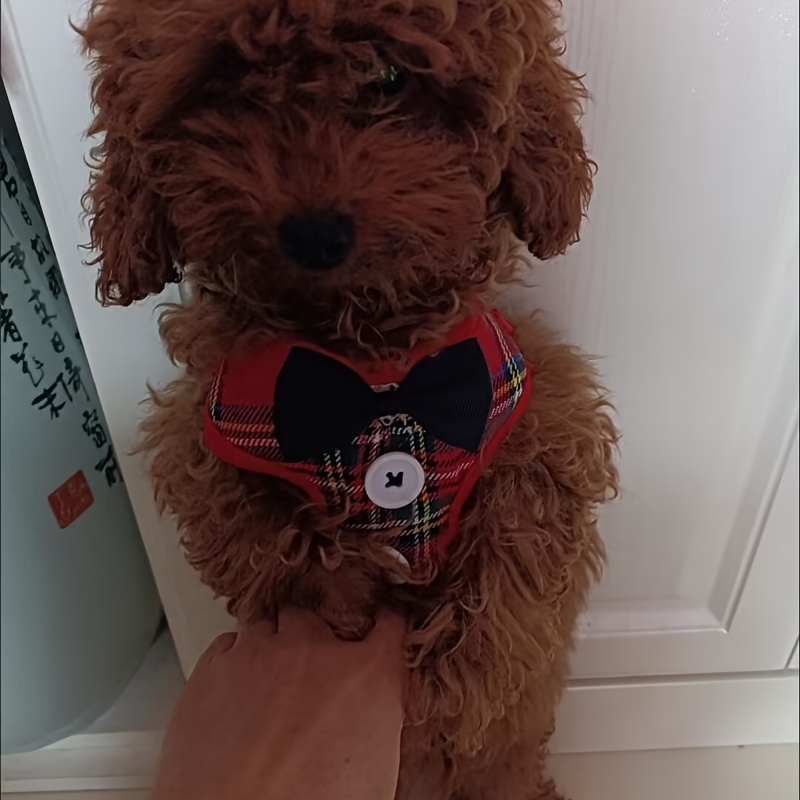 Toy poodle best sale puppy harness