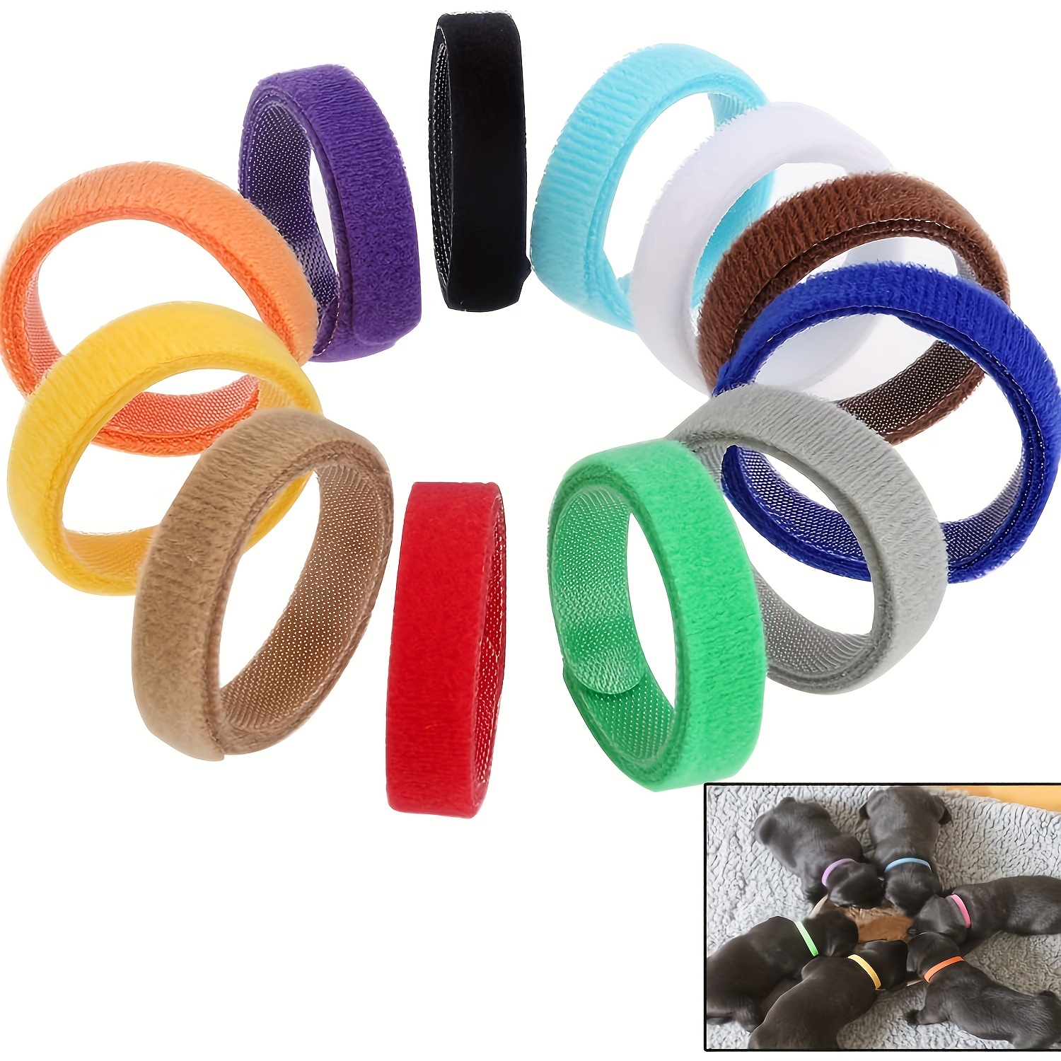 Newborn puppy hot sale id collars