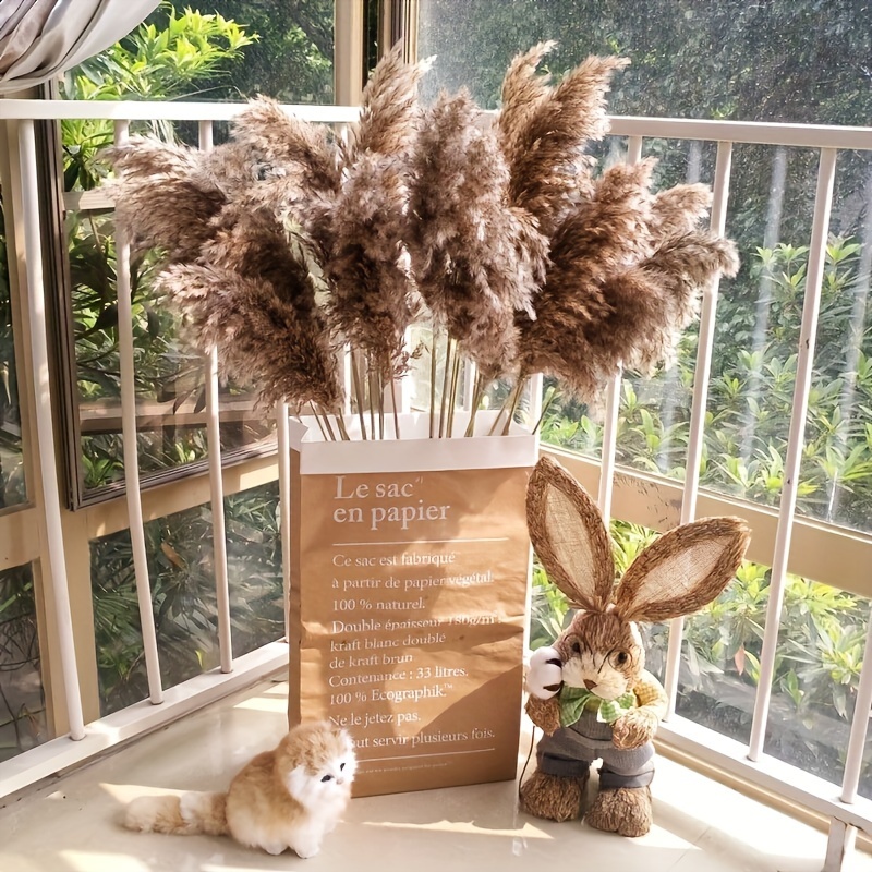 Boho Natural Pampas Grass Decor Large Fluffy Pompas Grass - Temu